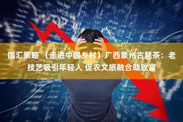 国汇策略 （走进中国乡村）广西象州古琶茶：老技艺吸引年轻人 促农文旅融合助致富