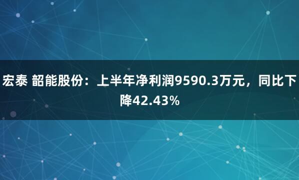 宏泰 韶能股份：上半年净利润9590.3万元，同比下降42.43%