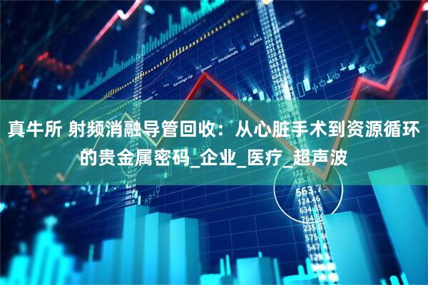 真牛所 射频消融导管回收：从心脏手术到资源循环的贵金属密码_企业_医疗_超声波