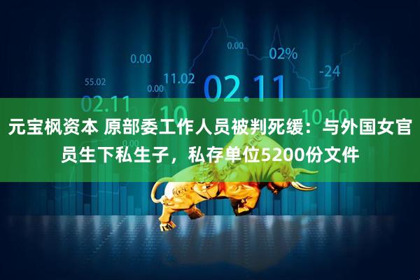 元宝枫资本 原部委工作人员被判死缓：与外国女官员生下私生子，私存单位5200份文件