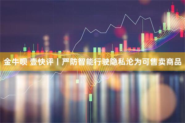 金牛呗 壹快评丨严防智能行驶隐私沦为可售卖商品