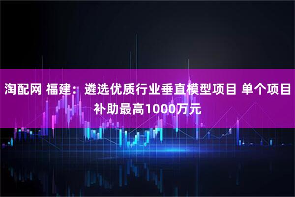 淘配网 福建:遴选优质行业垂直模型项目 单个项目补助最高1000万元