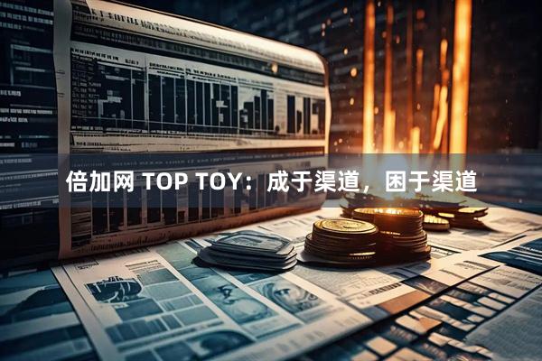 倍加网 TOP TOY:成于渠道,困于渠道