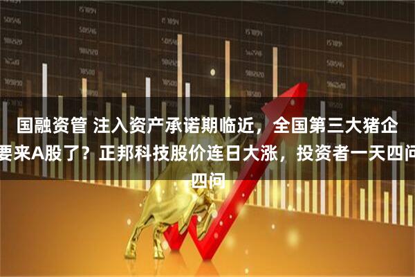 国融资管 注入资产承诺期临近,全国第三大猪企要来A股了?正邦科技股价连日大涨,投资者一天四问