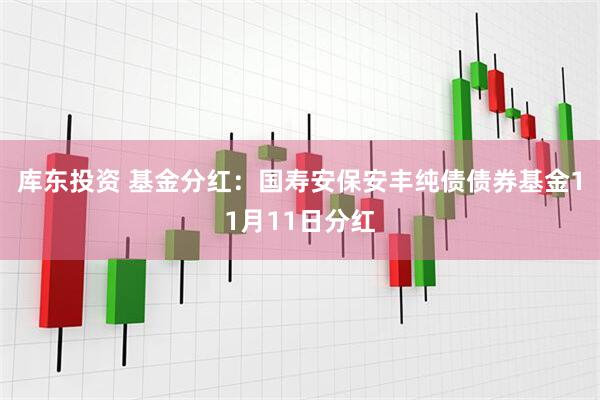 库东投资 基金分红：国寿安保安丰纯债债券基金11月11日分红