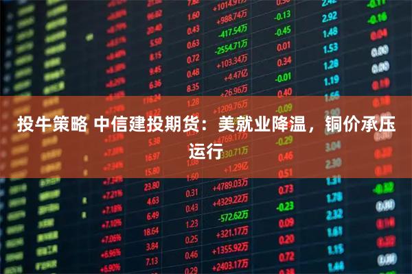 投牛策略 中信建投期货：美就业降温，铜价承压运行